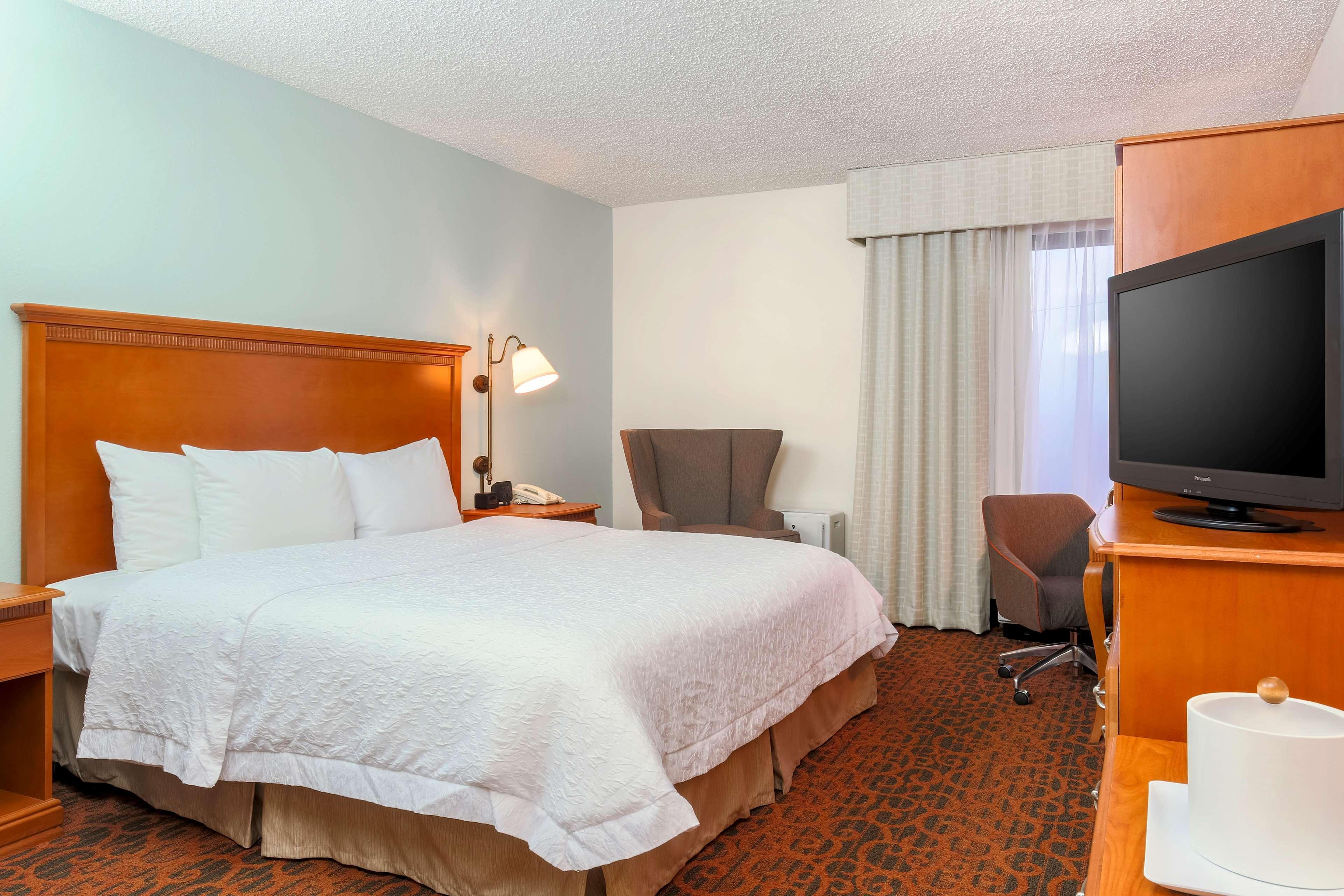 Hampton Laredo